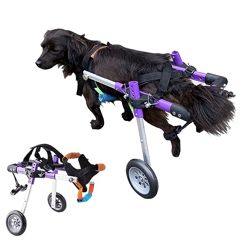 Silla de ruedas ligera de aluminio para perros, carrito ajustable fácil de montar