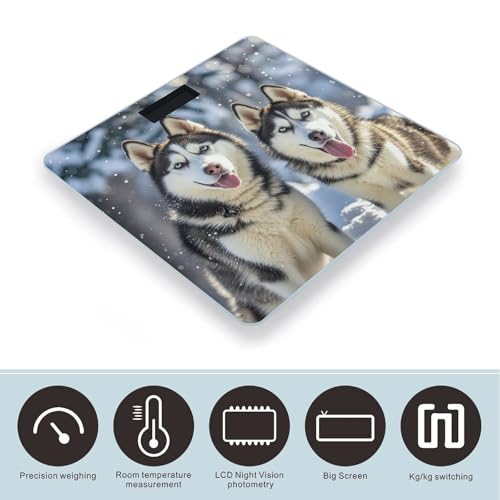Báscula digital Adorable Huskies con vidrio templado y pantalla LCD miniatura 3