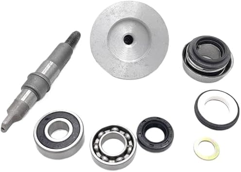 Water Pump Assembly Compatible With Bashan 200CC BS200 ATV