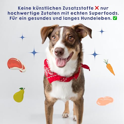 HAPPY JACKY | extra sensitives High-Premium Nassfutter für Hunde ohne Getreide | Huhn mit Wildreis, Brokkoli & Hirse | ohne Konservierungsstoffe, Zuckerfrei | 6x820g