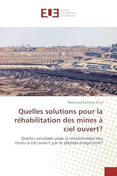 Paperback Quelles solutions pour la réhabilitation des mines à ciel ouvert? [French] Book