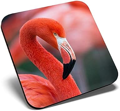 Great Single Coaster Square - Pink Flamingo Birds Tropical Flock |Glossy Quality Coasters | Tabletop Protection for Any Table Type #21535 [Energy Class A+]
