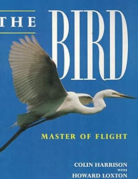 The Bird: Master of Flight