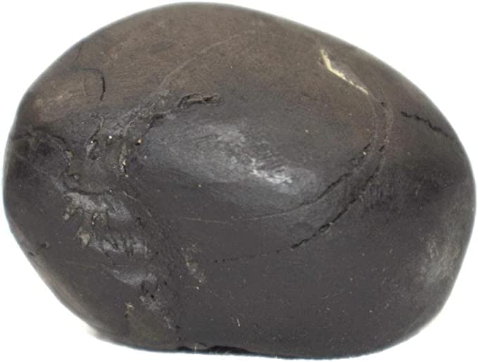 Miniatura 3 de Saligrama Laxmi Narayan Shaligrama Rudraksha Gurú Narsihma Shaligrama Kurma Shaligram