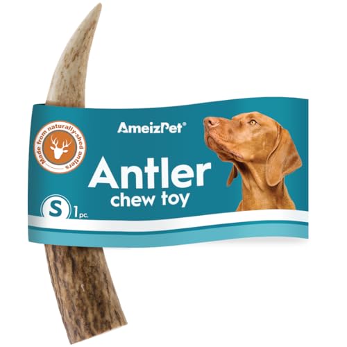 AmeizPet Asta De Ciervo para Perro - Masticables Naturales para Perros, Huesos De Asta De Ciervo De Larga Duración, Asta De Ciervo Duradera - 1 Pieza De Asta De Ciervo Tamaño S