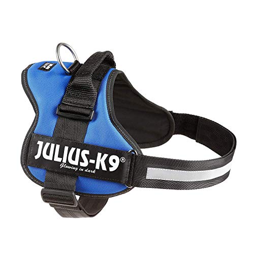 rabbitgoo No-Pull Hundegeschirr atmungsaktiv Brustgeschirr Geschirr für Hunde Welpengeschirr Reflexstreifen Sichere Führung Einstellbar Weich Schwarz L 2 Julius-K9, 162B2, K9-Powergeschirr, Größe: XL / 2, blau
