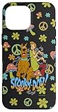Scooby-Doo Shaggy & Scooby Vintage Hippie Trip Case for iPhone 16 Pro Max