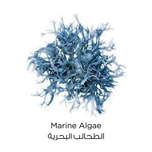 ماسك للوجه بالطين الازرق النقي مع الطحالب البحرية من لوريال باريس، ينظف الرؤوس السوداء ويقلص المسام سعة 50 مل