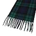 RonFoxi Winter Fashion Plaid Scarf for Women Men Classic Warm Tartan Scarf Chunky Scarves (Green and Black Plaid)