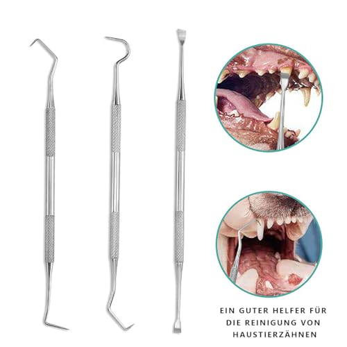 LAIYOHO 3-teiliges Haustier-Zahnsteinentferner Set: Doppelköpfiger Zahnstein-Entferner & Zahnstocher aus Edelstahl für Hunde & Katzen