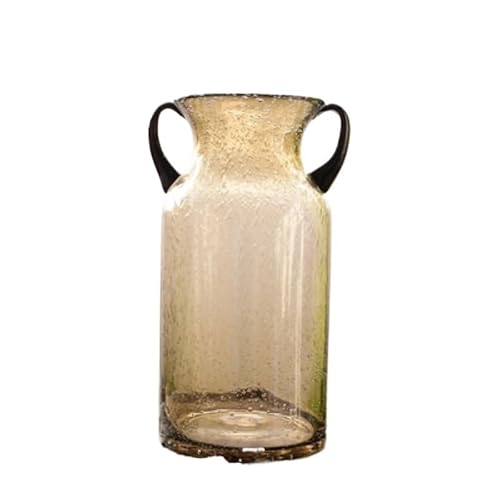 EKLMCFS Living Room Dining Home Decorative Flower Vase Hydroponic Glass Vases(28cm)