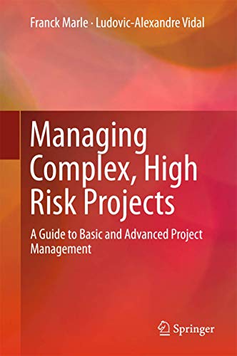 Managing Complex, High Risk Projects: A Guide to Basic and Advanced Project Management view 2