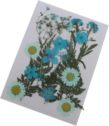 22 piezas de resina epoxi para decoración de uñas DIY