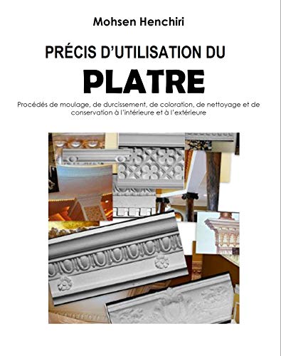 Précis d'utilisation du plâtre Procédés de moulage, de durcissement, de coloration, de nettoyage et de conservation à l'intérieur et à l'extérieur: Précis ... du plâtre (Arts et Metiers t. 2)