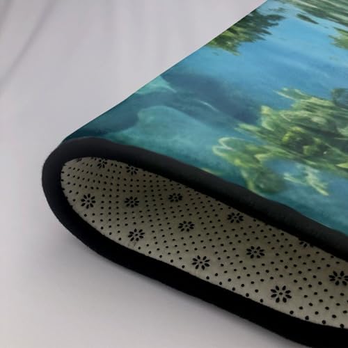 Tapis moderne antidérapant, la solution lavable pour dortoir et bureau
