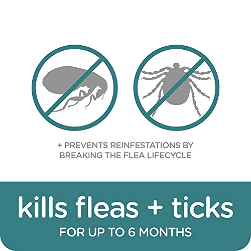 Sergeant's Guardian Pro Flea & Tick Collar For Dogs, Kills Fleas & Ticks, Long Lasting Protection For 6 Months, Fresh Scent, One Size Fits All, 1 Collar #TOP4