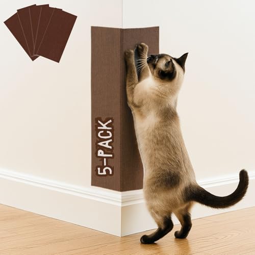 LpXNb`}bg(5pbN)A23.6C` x 11.8C` L̕ǃR[i[XNb`[A\ȎȔŠpAL̖؂̕ǂ̉ƋA|XgA\t@̕یɎg₷(uE)