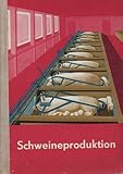 Schweineproduktion
