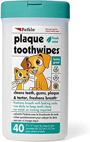 Petkin Cat and Dog Dental Wipes, 40 Wipes (Fresh Mint) - Natural ...