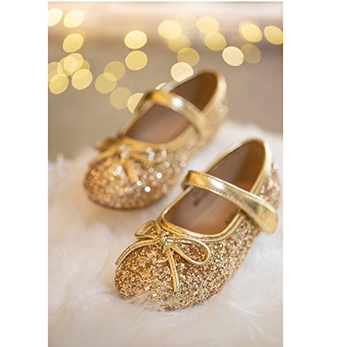 Felix & Flora Bear Mall Girls' Shoes Girl's Ballerina Flat Shoes Mary Jane Dress Shoes (Little/Toddler Girls Shoes/Big Kids)(9 Toddler, Glitter Gold) #TOP2