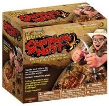 I Dig Bugs: Scorpion's Nest Excavation