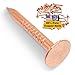 1 Inch Copper Nails Roofing Finish 100 Nails - Solid Pure Copper Slate Spikes Flashing Furniture Boat - Package Includes 100 pieces of The Highest Quality Nails by Dubbs Hardware
