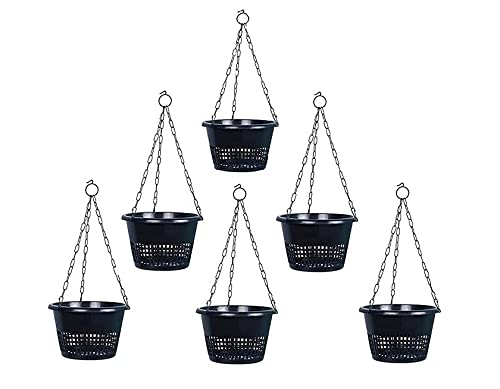 Banrujjeder Orchid Bagan Private Limited Orchid Pots 8 Inch Hanging With Metal Chain (Black) - Pack Of 6 (B09PGL9J2C) Amazon Price History, Amazon Price Tracker