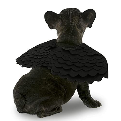 Rypet Pet Halloween Devil Costume - Black Angel Devil Feather Wings Halloween Cosplay Dress Up Accessories Puppy Cat Costume For Party Decoration Small #TOP13