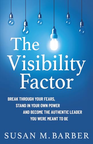 The Visibility Factor view 2