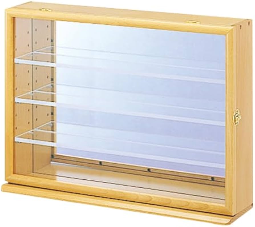 ナカバヤシ コレクションケース ccm-302