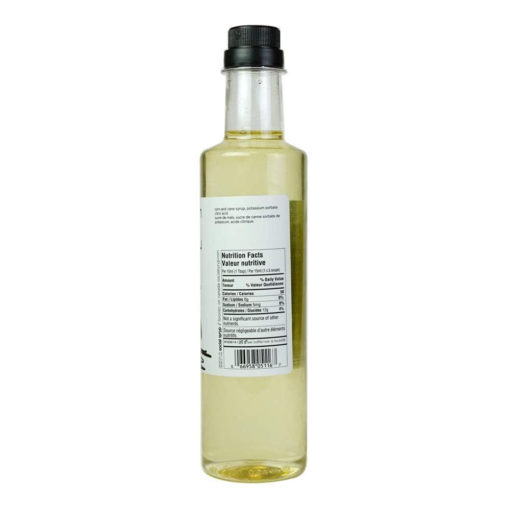 Simple Syrup Cordial Mixer - 500mL (16.9 oz) | Bar Syrup for The