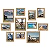 Muzilife picture frame set of 11 gallery wall frame collage with three 810 and eight 57 photo frames for photos paintings landscape posters artwork perfect for wall decor oak  urban country home decor