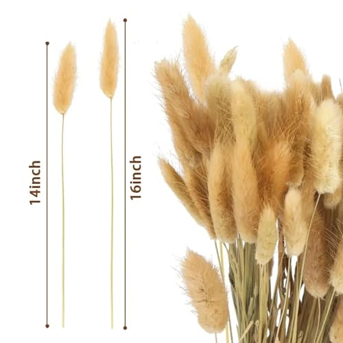 Ramo decorativo de pasto pampas natural 60 piezas miniatura 3