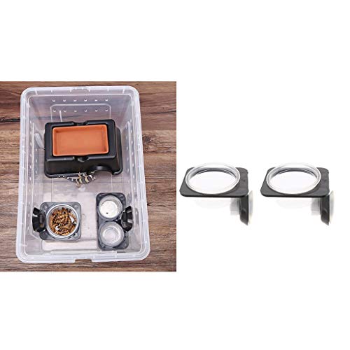 Baoblaze 4 Stuks Reptielen Voerbak Waterbak Drinkbak met Zuignap - Afbeelding 6