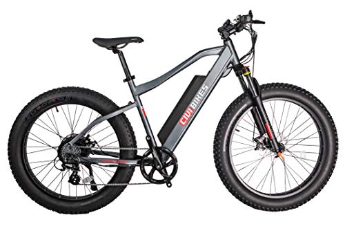 Best Electric Mtb