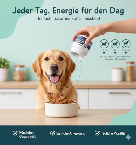 Vivylo 90 Grünlippmuschel Hundeleckerli | 270g | Gelenktabletten mit Glucosamin, Kollagen, Kurkuma, MSM für Gelenke und Knochen - Leckerlis für aktive & älternde Hunde mit Vitamin C, D3 und Zink