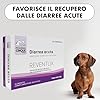Diarrea Cane e Gatto – Dissenteria e Intestino Sensibile – Prebiotici e Fibre per Supporto Rapido per Disturbi Intestinali Acuti – PHARMACINQUEPET Reventlix 30 Compresse