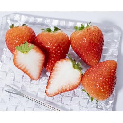 栃木県産のいちご2種食べ比べ|スカイベリー2パック(1箱)・とちあいか2パック(1箱)