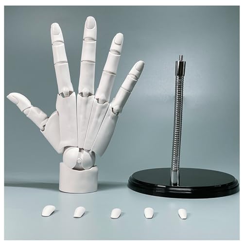Zeetan Modelo Flexible De La Mano Derecha 1:1, Figuras De Mano del Maniquí De Artistas Móviles De Las Articulaciones para Mostrar Bocetos Y Pintar,Blanco