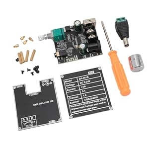 Masyrt ZK 301B Mono Verstärkerplatine 30W