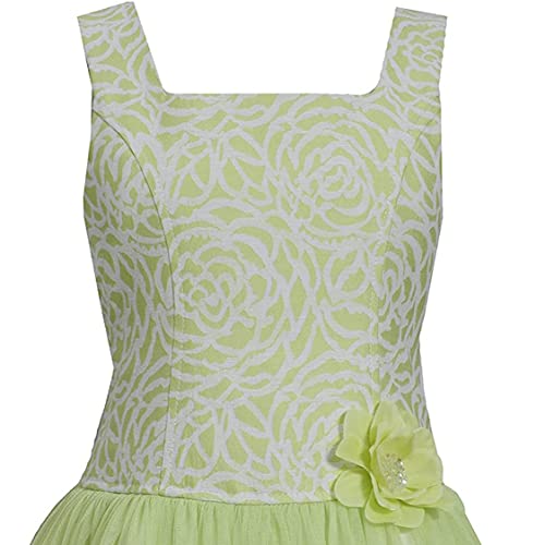 Bonnie Jean Girls Easter Jacquard Floral Princess Fit and Flare Party Dress 4-162