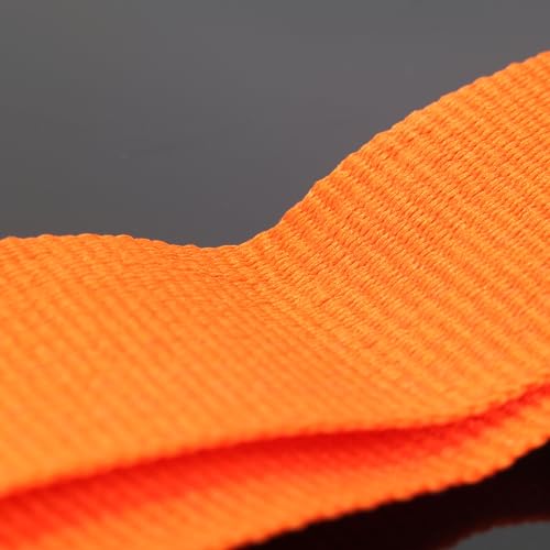 Needzo NECK RIBBONS X 2 Halloween 2024 Costume Award Ribbon Bundle thumb #5