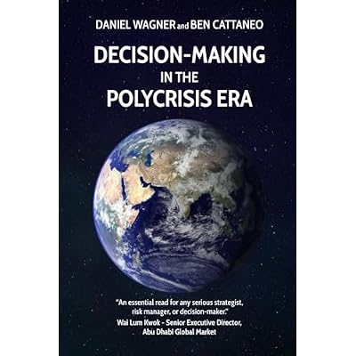 Decision-Making in the Polycrisis Era