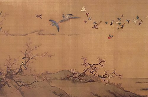 Amazon.co.jp: 故宮博物院(こきゅうはくぶついん) 蔵図 百鳥鳳凰図