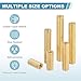 MECCANIXITY Brass Round Coupling Nuts, M2x40mm Female Thread Hexagonal Standoffs Spacer Nuts Screws for PCB Motherboard Circuit Board(Gold Tone, Pack of 28)