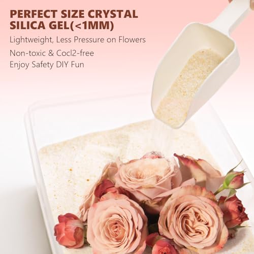 LinsKind Silica Gel Flower Drying Crystals, 2LBS Flower Drying Silica Gel Crystals, Rechargeable Flower Preservation kit, 8 in1 Moisture Absorbers Silica Crystals Beads for DIY Wedding Bouquet Flower