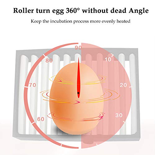 Joasinc Egg Incubator For Hatching Egg Full Automatic (16 Eggs) Turning And Humidity Control Humidity Monitoring Farm Duck Chicken Quail Egg Incubator Holiday Gift #TOP3