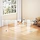 Solaround Acryl Absperrgitter, Freistehend, Hund Katze Türgitter Schutzgitter Hundegitter, Transparent (360 x 60 cm)