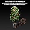 Spider Farmer DWC Hydroponics Grow System with 7-Gallon Deep Water Culture, New Triangular Cover Design, Recirculating Drip Garden System with Top Drip Kit, 11W Air Pump, 4 Buckets