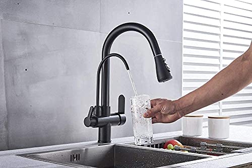 Douchette extractible pour robinet cuisine filtré double commande